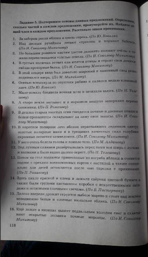 За забором росли яблоки и цвела сирень. Над лесным ручейком летают стрекозы и порхают бабочки. Под