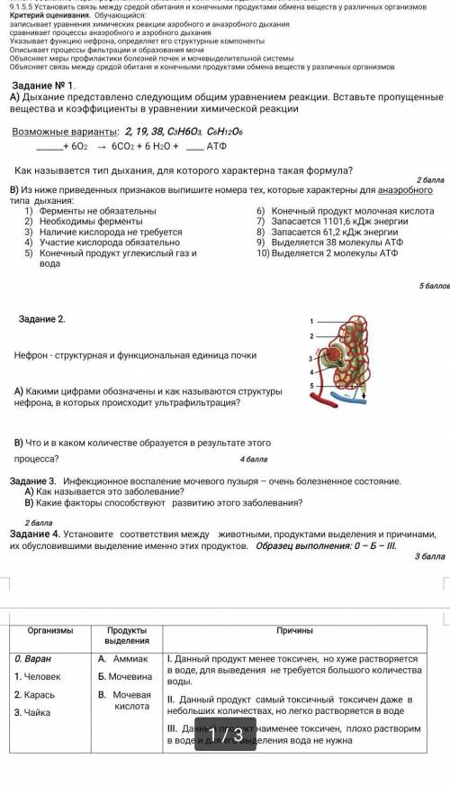 сор по биологии 9 класс​