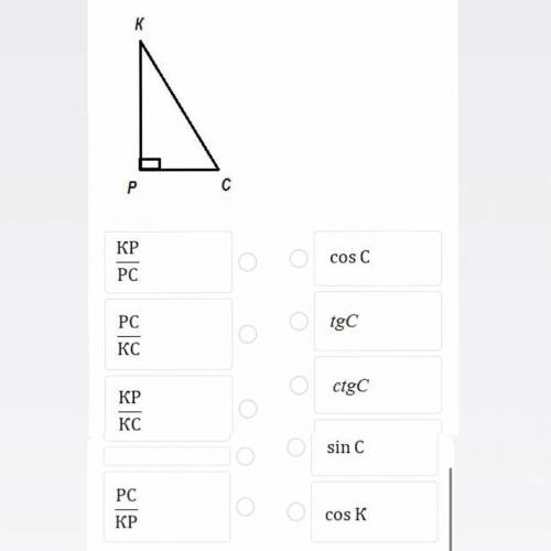 Дан прямоугольный треугольникa KPC с прямым углом Р. Установите соответствие между отношениями сторо
