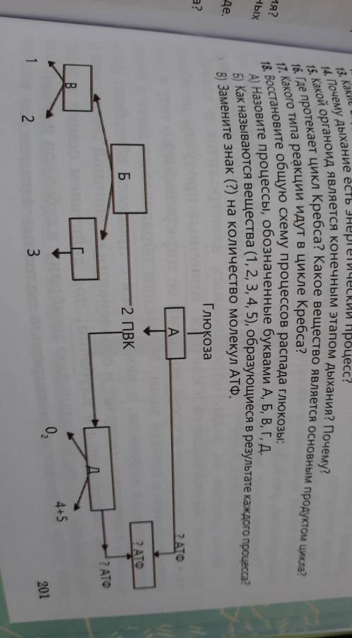 Восстановите общую схему процессов распада глюкозы В)?​