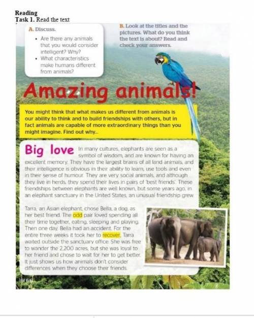 Task 1. Read the text again and choose True- False- Doesn’t say 1. The elephants have the largest br