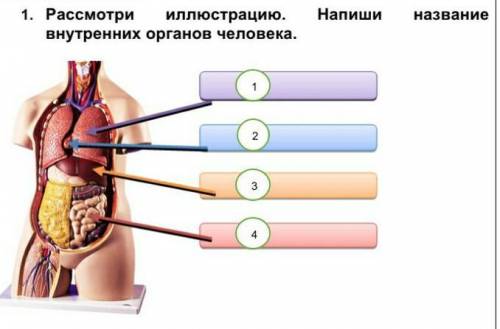 класс естествознания ​