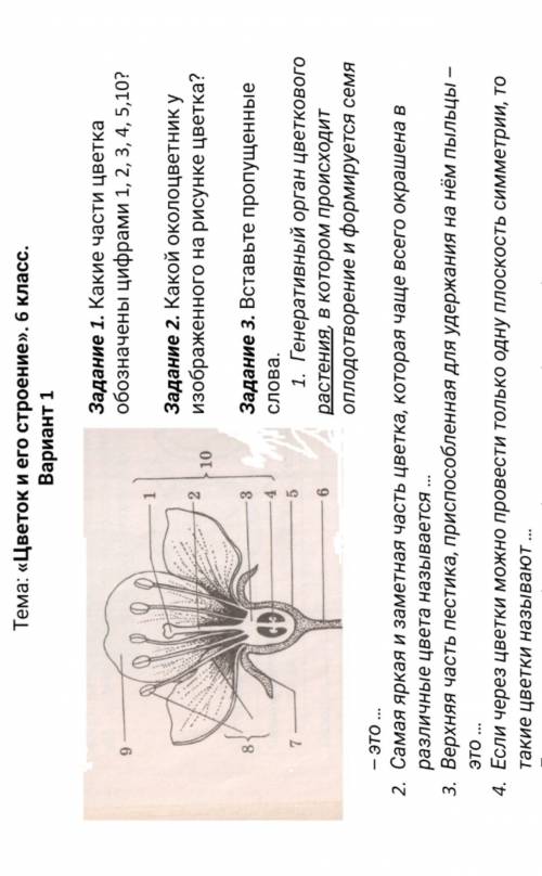 Биология 6 класс сделать​