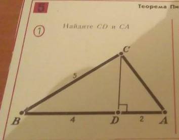 Найдите CD и CА нужно. ​