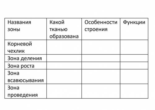 Запишите таблицу название зоны корневой чехлик зоны деления зона родов зона союз и Ване зона проведе