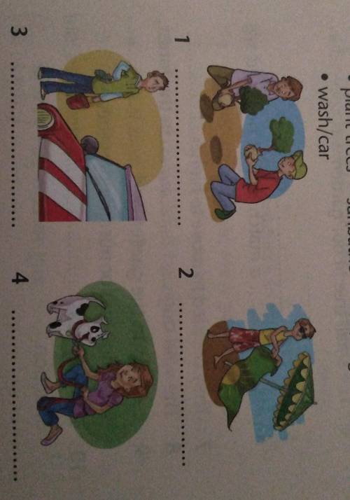 5 What is going to happen? Write sentences. . • plant trees . sunbathe . take/dog for a walk. wash/c