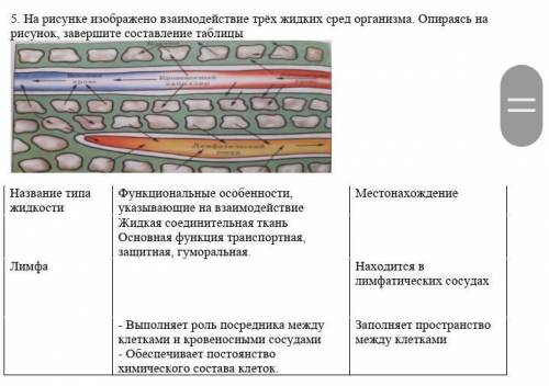 сор по биологии, 2 четверть, 8 класс. даю 25б.​