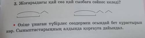 3. Жоғарыдағы қай сөз қай сызбаға сәйкес келеді? • Өзіңе ұнаған түбірлес сөздермен осындай бет краст