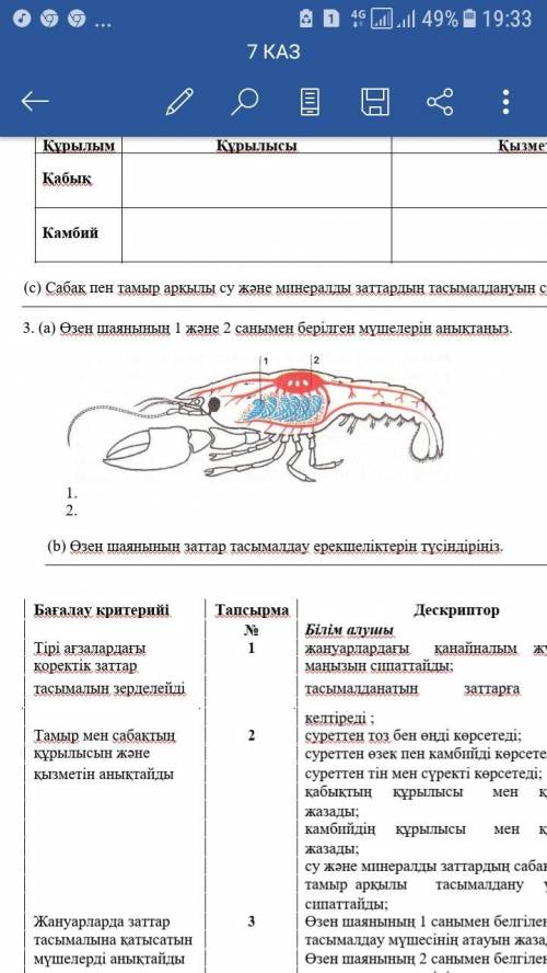 Помагите ! СОР ПО БИОЛОГИИ НА КАЗАХСКИЙ b)