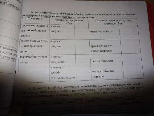 Заполните таблицу «Регуляция обмена гликогена в мышцах» (покажите изменения концентраций веществ и с