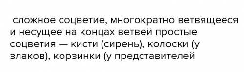 1 Какие соцветия относятся к простому типу? a.Обильно ветвящиеся группы цветковb.Имеющие оси не боле