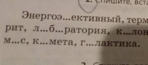 1. Спишите, вставьте пропущенные буквы. Энергоэ...ективный, терм...ядерный, мороид, м...т...ор, м...