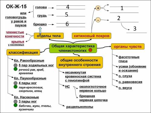 Таблица по биологии 7 класс на тему членистоногие В таблице написаны числа от напишете вместо чисел