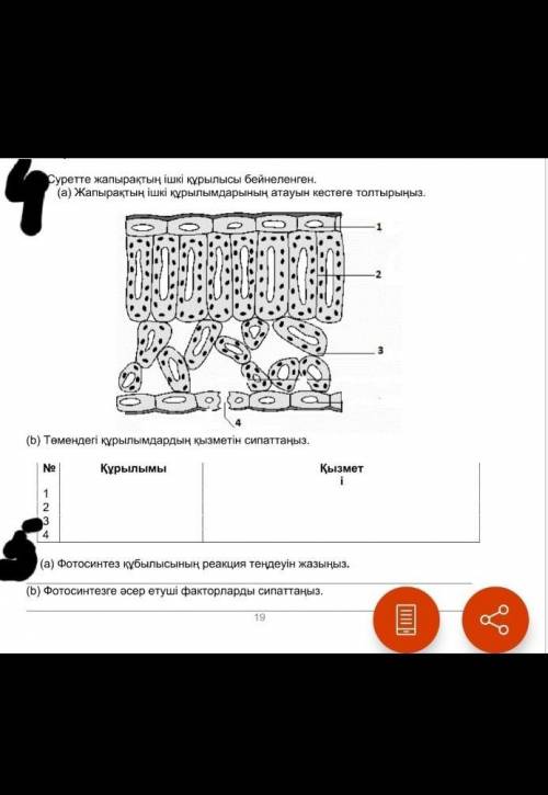 Бжб биология 2 токсан 7​