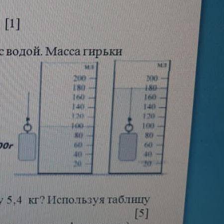 На рисунке показана гирька,помещённая в мензурку с водой.Масса гирьки 160г