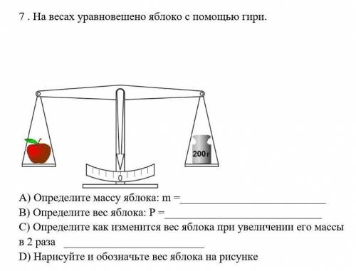 На весах уравновешено яблоко с гири. А) Определите массу яблока: m =В) Определите вес яблока: Р =С)