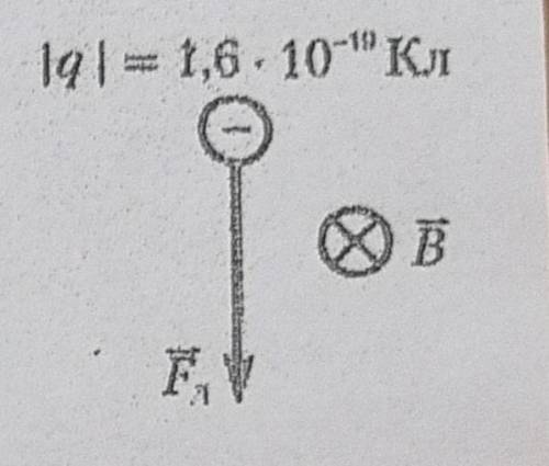 Заряженная частица движется в однородном магнитном поле перпендикулярно линиям индукции. На рисунке