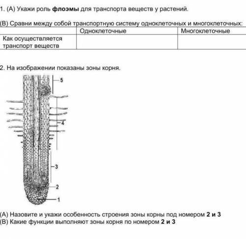 Сор, побыстрей жилательно.​