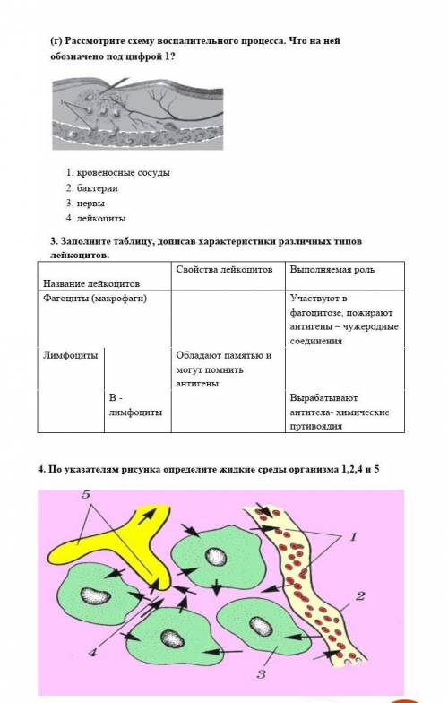 Рассмотрите схему воспалительного процесса. Что на ней обозначено под цифрой СОР​