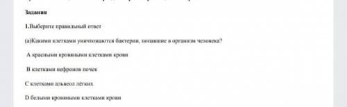 Какими клетками уничтожаются бактерии попавшие в организм человека?