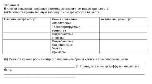 Заполните сравнительную таблицу типы транспорта веществ