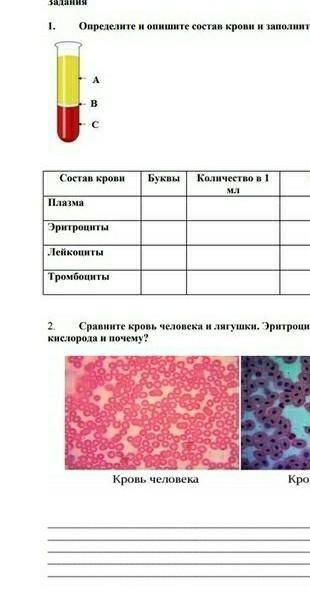 Сор по биологие 8 класс 2 четверть ответ #1 Плазма А. 0,54 жидкая формаЭритроциты С. 0,44 двояковогн