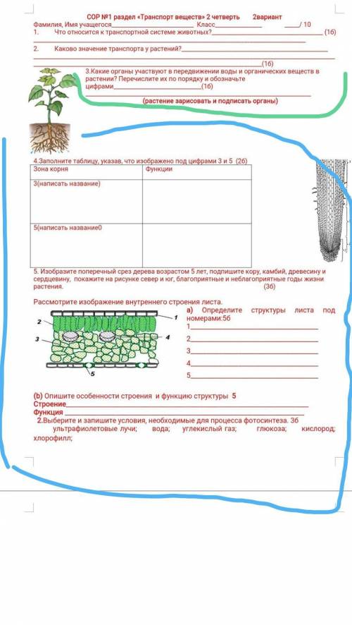 зделайте 3или2 нижних задание умаляю мне сегодня надо сдавать б. 3 по желаню как и все​