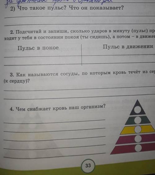 Что такое пульс? Что он показывает помагите