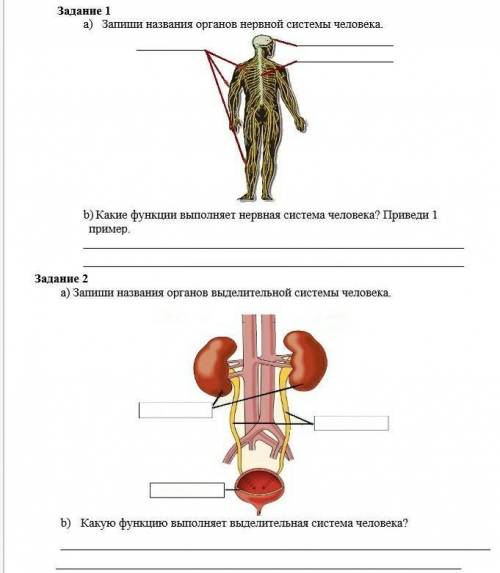 Естествознание 4 класс