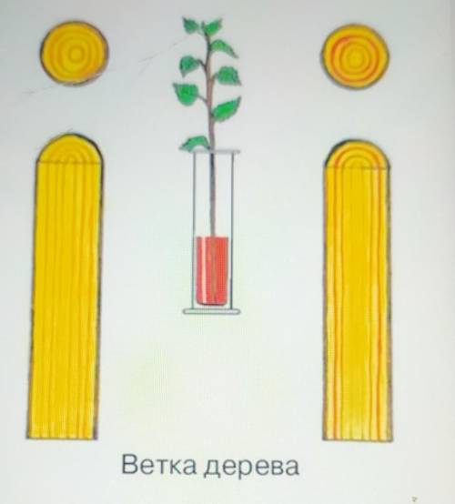 Посмотрите внимательно нарисунок. Что было доказано с данного опыта​