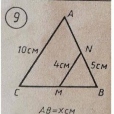 Дано СА-10см MN-4см ВN-5см Найти АВ-?​