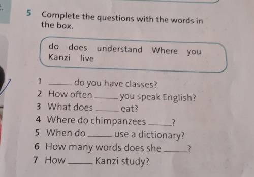 Ex 5. p. 73 Complete the questions with the words in the box. мне нужно