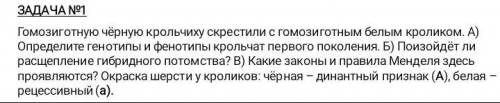 Гомозиготную чёрную крольчиху скрестили с гомозиготным белым кроликом. А) Определите генотипы и фено