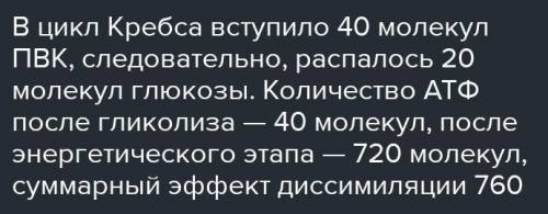 В цикл Кребса вступило 28 молекул ПВК. Определите: количество АТФ после кислородного этапа, суммарны