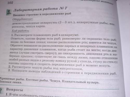 Лабораторная работа по биологии 7 класс внешнее строение и передвижение рыб рассмотреть надо одну ры