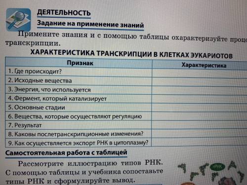 Заполните таблицу характеристика транскрипции в клетках эукариотов