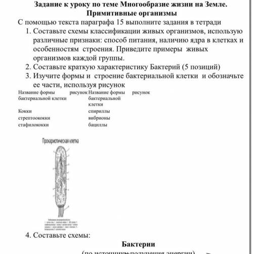 Задание к уроку по теме Многообразие жизни ра земле. Примитивные организмы.