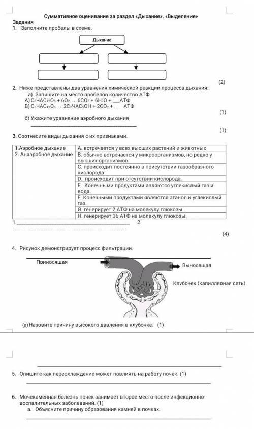 Заполните пробелы в схеме.Дыхание 1) Пример 2) Пример. 3) Пример. 4) Пример нужно​