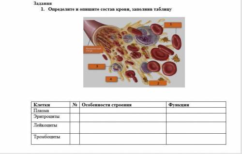 1. Определите и опишите состав крови, заполнив таблицу 2. Соотнесите жидкие среды в организме в соот