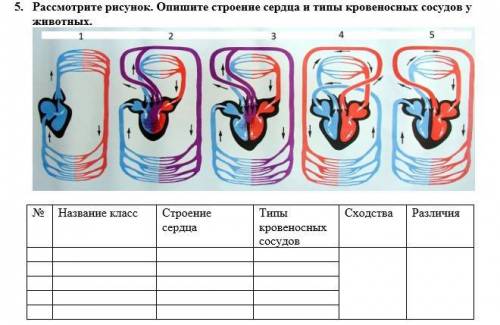 1. Определите и опишите состав крови, заполнив таблицу 2. Соотнесите жидкие среды в организме в соот