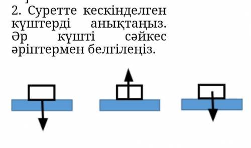 комек берші ​есди не лох