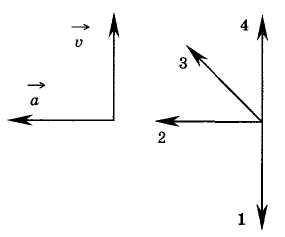 На рисунке представлены векторы скорости и ускорения тела. Под каким номером показано направление им