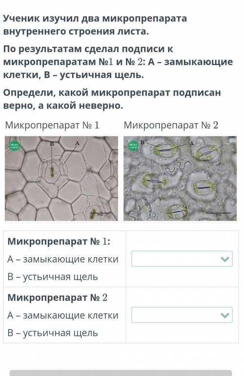 Какой верный какой не верный биология 7 класс​