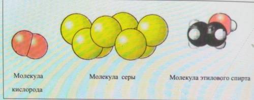 Задания 1 Дан рисунок: модели молекул кислорода, серы, этилового спирта.Напишите, какие вещества отн