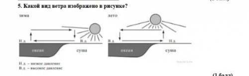 5. Какой вид ветра изображен на рисунке