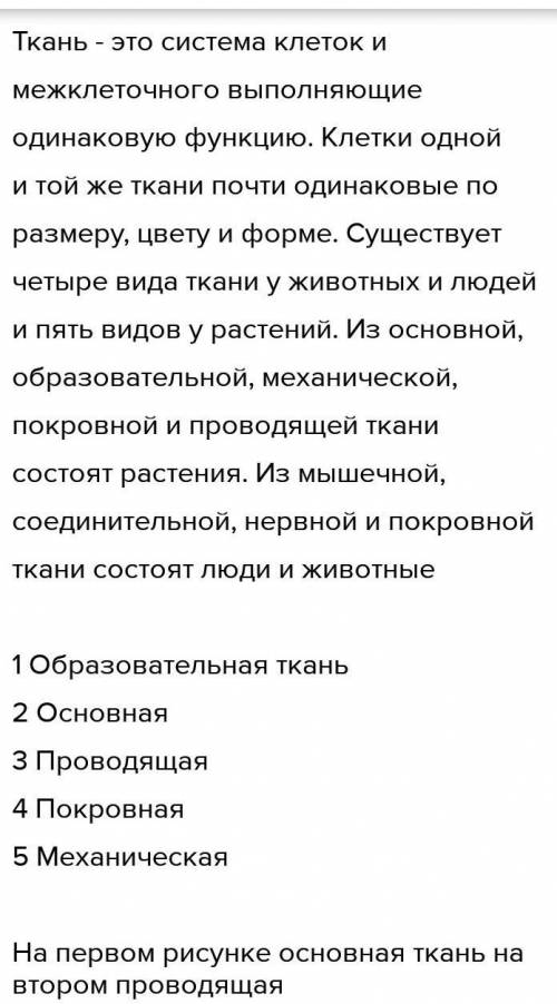 Какая особенность строения клеток, образующих ткань, на рисунке 1 обеспечивает их функцию? Какая осо