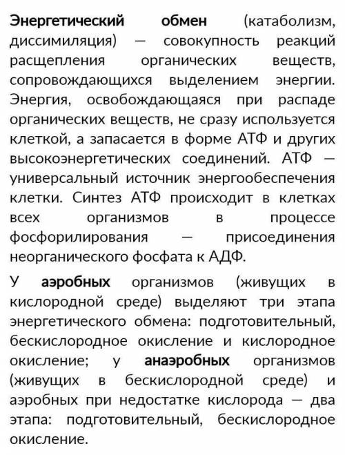 Циклические реакций какой этап подготовительный анаэробный или аэробный​ ал вы живы