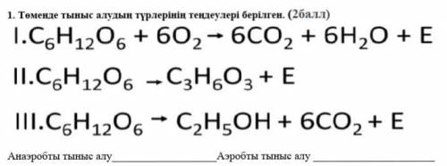 Ниже приведены уравнения типов дыхания.