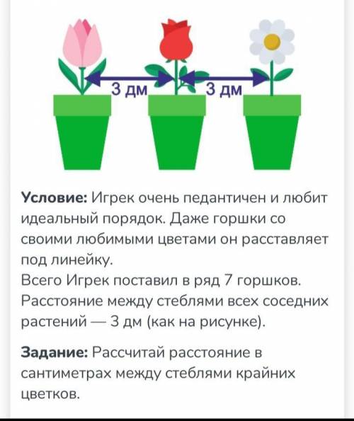 Условие: Игрек очень педантичен и любит идеальный порядок. Даже горшки со своими любимыми цветами он