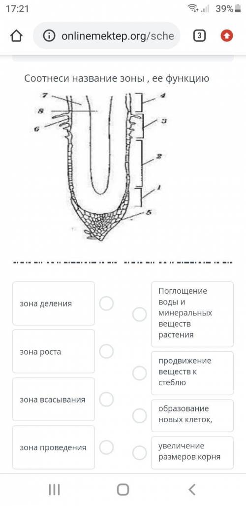 СОР БИОЛОГИЯ ЗАДАНИЕ 2